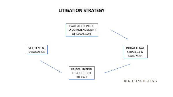 Litigation Strategy